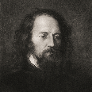 Lord Alfred Tennyson (1809-92) (engraving)