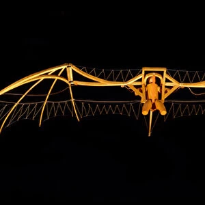 Model of Leonardo da Vincis Glider (Leonardo da Vinci
