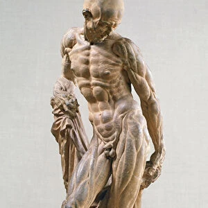 Muscle Man, 1569 (terracotta)