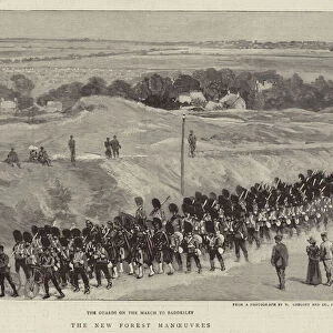 The New Forest Manoeuvres (engraving)