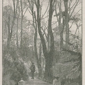 The new public park at Highgate: on the terrace (engraving)