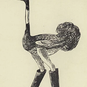 The Obsequious Ornamental Ostrich (engraving)
