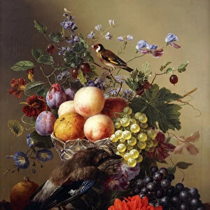 Peaches, Grapes, Plums and Flowers in a Glass vase with a Jay on a Ledge, (oil on canvas)