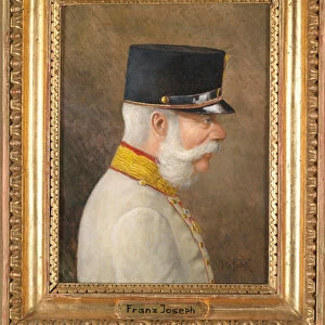 Portrait of Franz Joseph I of Austria