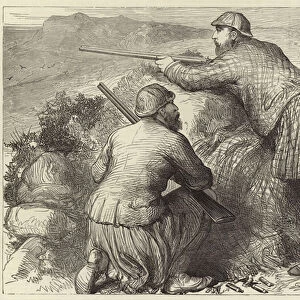The Prince of Wales grouse shooting in the highlands (engraving)