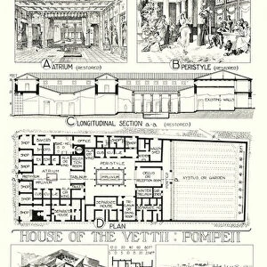 Roman Architecture; House of Pansa, Pompeii; House of the Vettii, Pompeii (litho)