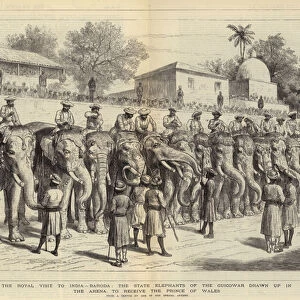 The Royal Visit to India, Baroda, the State Elephants of the Guicowar drawn up in the Arena to receive the Prince of Wales (engraving)