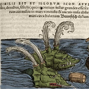 Sea Monsters, illustration from Historiae Animalium by Conrad Gesner