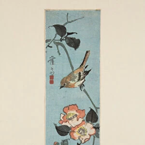 Sparrow and Camellia (colour woodblock print)