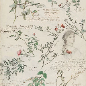 Studies of plants and figures made in Rome and Pankow, Berlin, 1868 (pencil