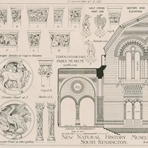 Terracotta details from the new Natural History Museum, South Kensington (engraving)