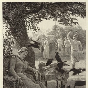 Unwelcome Visitors, Crows at a Tennis Party in India (engraving)