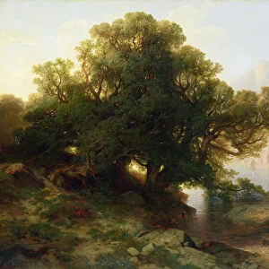 View of Lake Thuner, 1854 (oil on canvas)