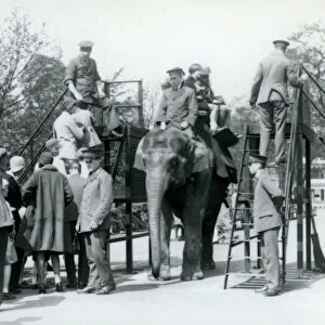 Visitors queueing for an Elephant Ride while others embark, with the help of five keepers