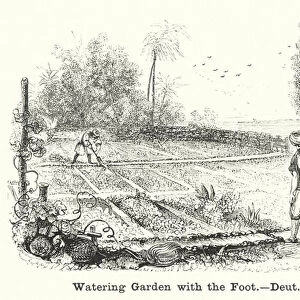 Watering Garden with the Foot, Deuteronomy xi, 10 (engraving)