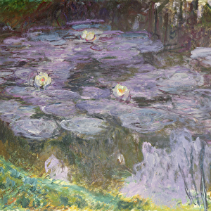 Waterlilies, 1917 (oil on canvas)