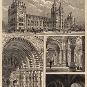 The Zoological Museum at South Kensington (engraving)