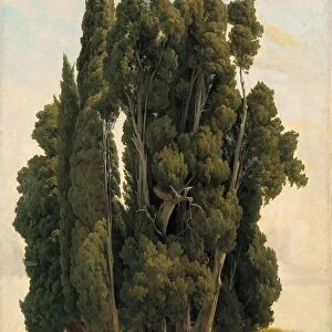 Gustaf Wilhelm Palm Cypresses Study painting