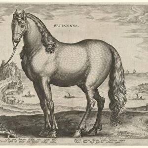 Horse from Brittany, Brittanus, Hieronymus Wierix, Philips Galle, c. 1583 - c. 1587
