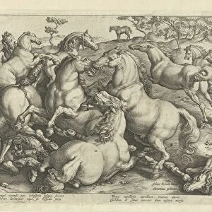 Twelve horses fighting, Hendrick Goltzius, Philips Galle, 1577 - 1581
