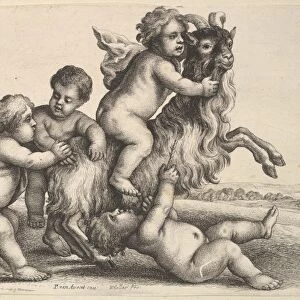 Four small boys goat 1625-77 Etching state