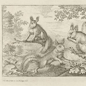 Three squirrels landscape Different animals series title