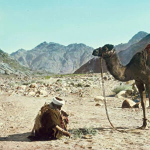 Wady Es-Sheikh Peran 1950 Egypt Sinai