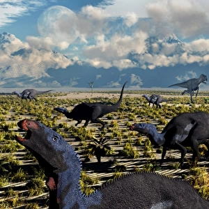 An Allosaurus attacking a herd of Camptosaurus dinosaurs