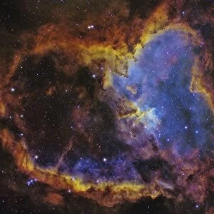 IC 1805, the Heart Nebula in the constellation Cassiopeia