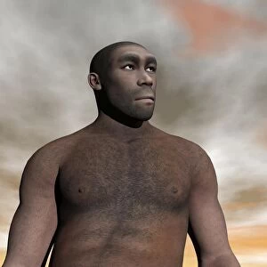 Male Homo Erectus, an extinct species of hominid