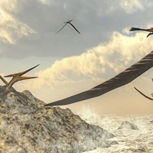 Pteranodon bird flying above ocean