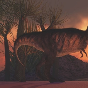 A Tyrannosaurus rex dinosaur roars to claim his territory