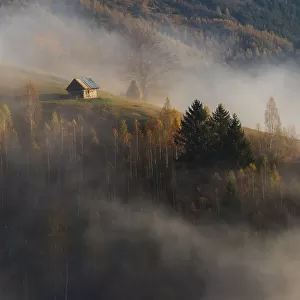 Rural autumn