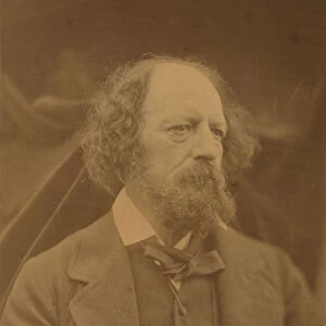 Alfred, Lord Tennyson, ca. 1865. Creator: Julia Margaret Cameron