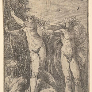 Apollo and Daphne, ca. 1538-40. Creator: Andrea Schiavone