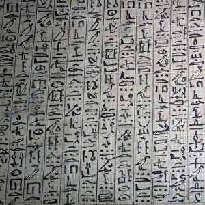 Cursive hieroglyphic script from a book of the dead