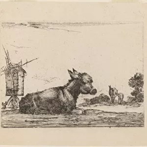 Donkey Resting, 1642. Creator: Stefano della Bella