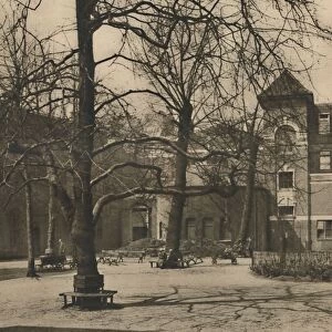 Under the Elms in the Courtyard of Middlesex Hospital, c1935. Creator: Joel
