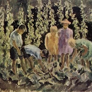 Evacuees growing cabbages, 1940, (1943). Creator: Leila Faithfull