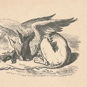 The Gryphon asleep in the sun, 1889. Artist: John Tenniel