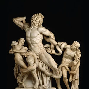 Laocoon and his sons (The Laocoon Group), 1st century BC