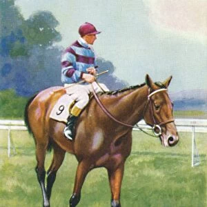 Legend of France, Jockey: A. Richardson, 1939