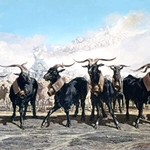 Let us take out the herd, 1853. Artist: Emile Charles Joseph Loubon