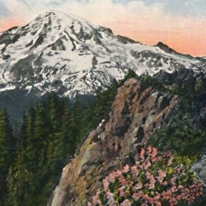 The Primrose on Mount Rainier, c1916. Artist: Asahel Curtis