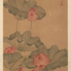 Red Lotus and Fish. Creator: Tang Guang