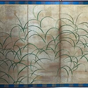 Susuki Grass, c. 1525. Creator: Unknown