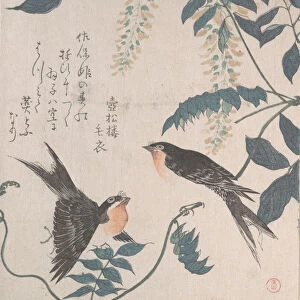 Swallows and Wisteria, 19th century. Creator: Kubo Shunman