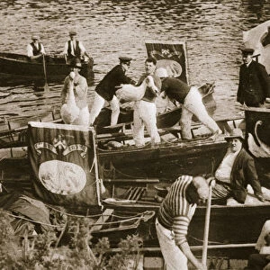 Swan upping on the Thames, 20th century