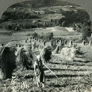 A Telemarken Harvest Scene near Saude, Norway, c1930s. Creator: Unknown