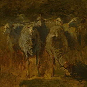 Unfinished Study of Sheep, c. 1850. Creator: Constant Troyon